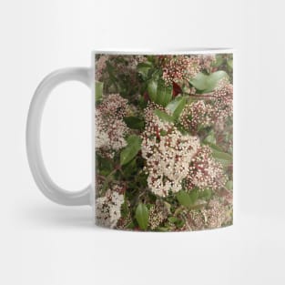 Welcome, Spring Mug